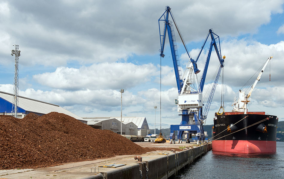 Terminal de graneles sólidos - APMARIN