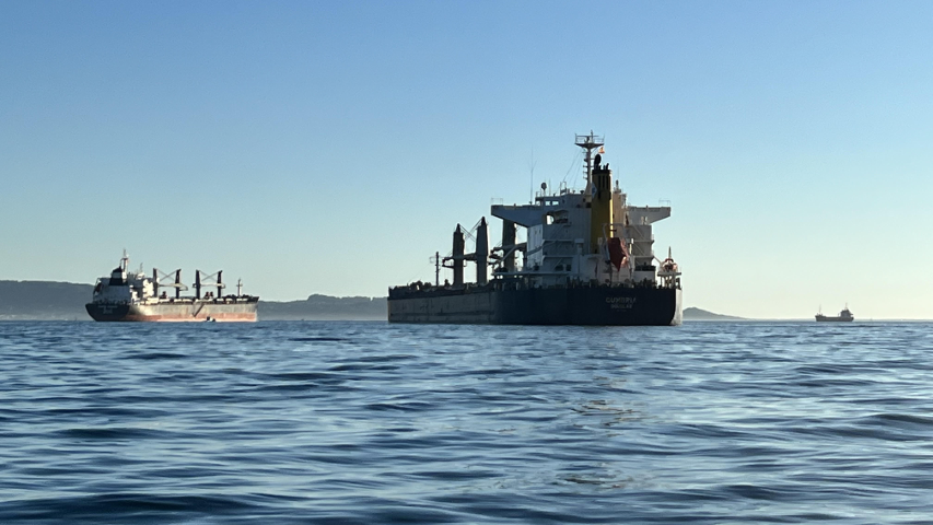 El puerto crece un 26% hasta el mes de julio