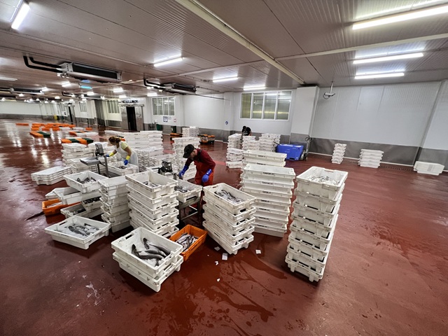 La Autoridad Portuaria fomenta el autoconsumo energético en la lonja y muelles pesqueros