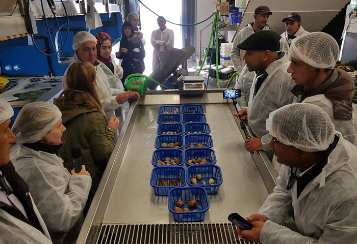 Una delegación pesquera de Argelia se acerca a la realidad del Puerto de Marín