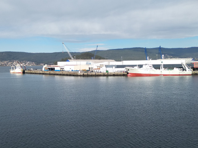 Se intensifica la campaña de descargas de pesca congelada en el Puerto de Marín